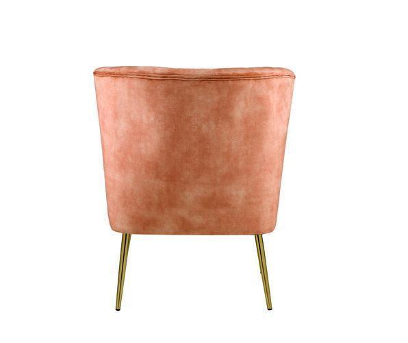 ACME Sambell Accent Chair, Cocoa Velvet FredCo