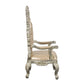 ACME Sorina Arm Chair (Set-2), PU & Antique Gold Finish FredCo