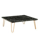 ACME Telestis Coffee Table, Black Marble & Gold FredCo