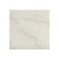 ACME Telestis End Table, White Marble & Black FredCo