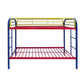 ACME Thomas Twin/Twin Bunk Bed, Rainbow FredCo