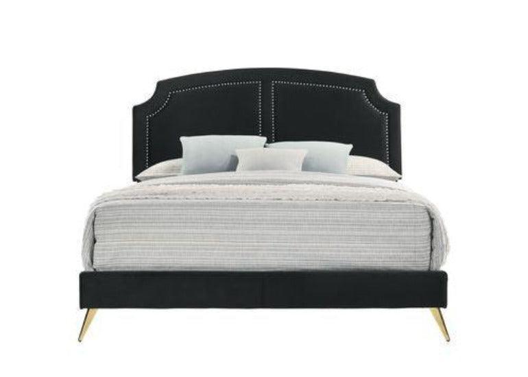 ACME Zeena Eastern King Bed, Black Velvet FredCo