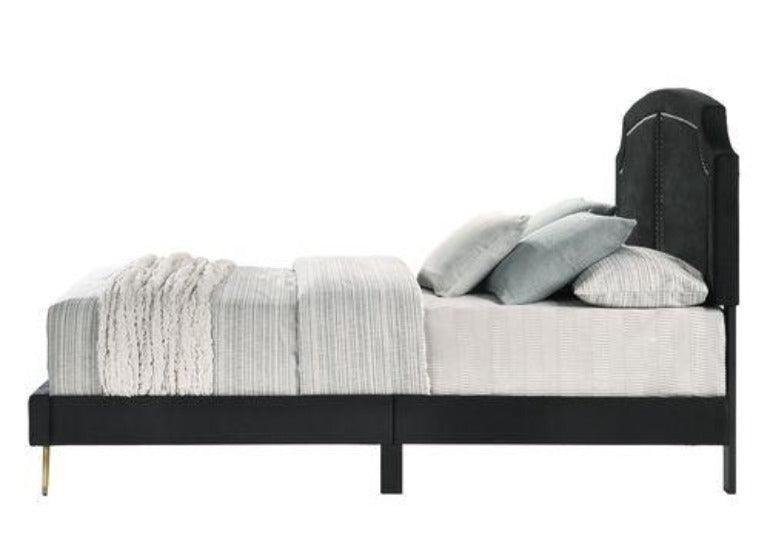 ACME Zeena Eastern King Bed, Black Velvet FredCo