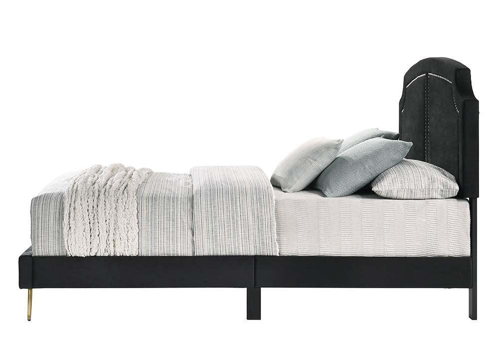ACME Zeena Queen Bed, Black Velvet FredCo