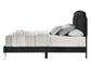 ACME Zeena Queen Bed, Black Velvet FredCo