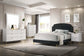 ACME Zeena Queen Bed, Black Velvet FredCo