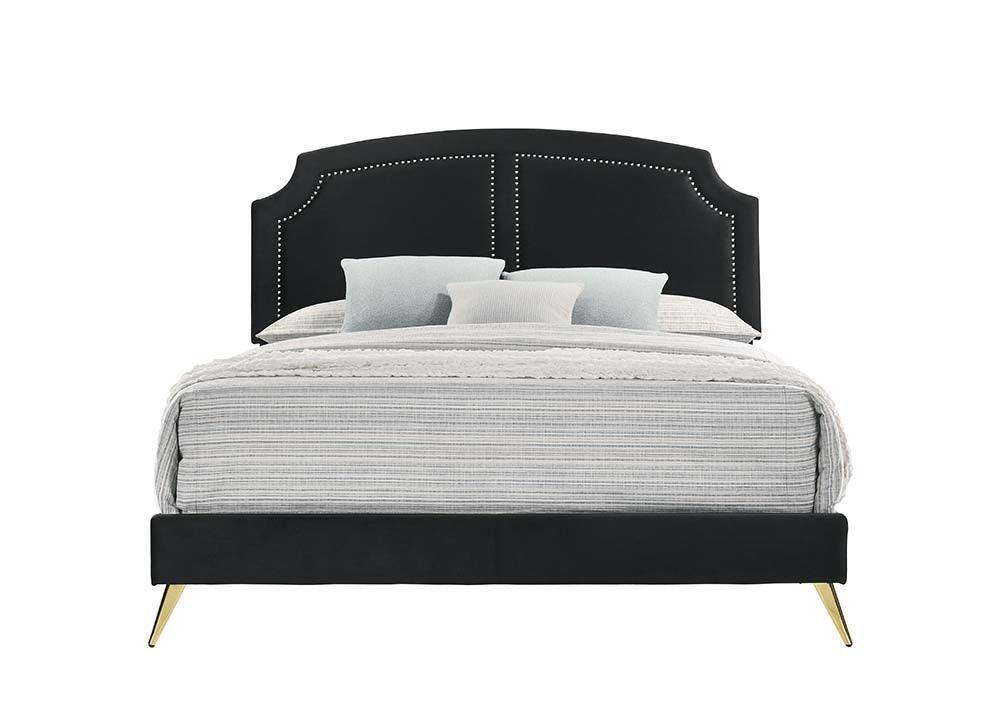 ACME Zeena Queen Bed, Black Velvet FredCo