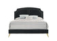 ACME Zeena Queen Bed, Black Velvet FredCo