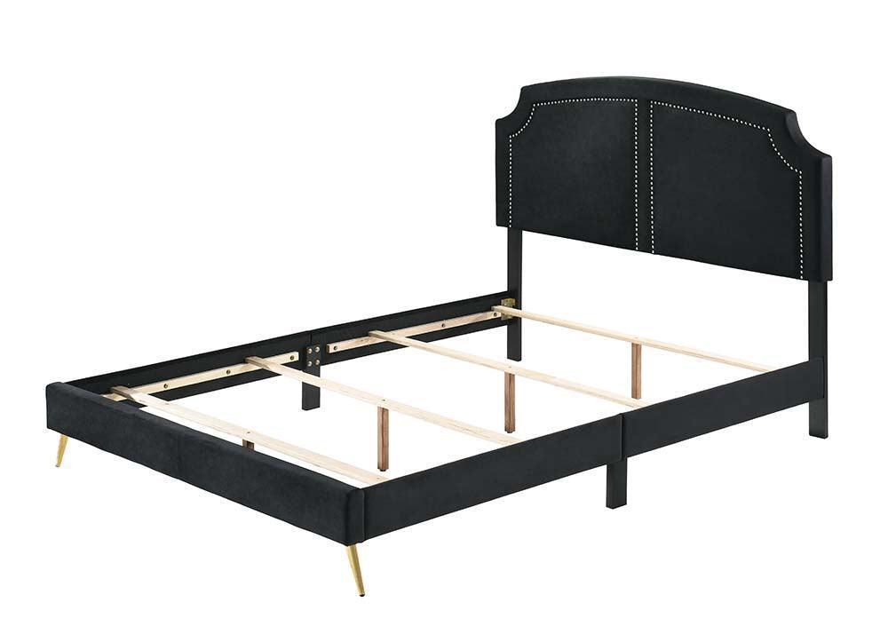 ACME Zeena Queen Bed, Black Velvet FredCo