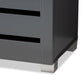 Adalwin Modern and Contemporary Dark Gray 2-Door Wooden Entryway Shoe Storage Cabinet FredCo