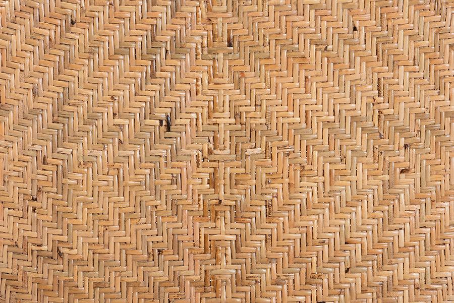 Adrena Modern Bohemian Natural Brown Rattan Bar Stool FredCo