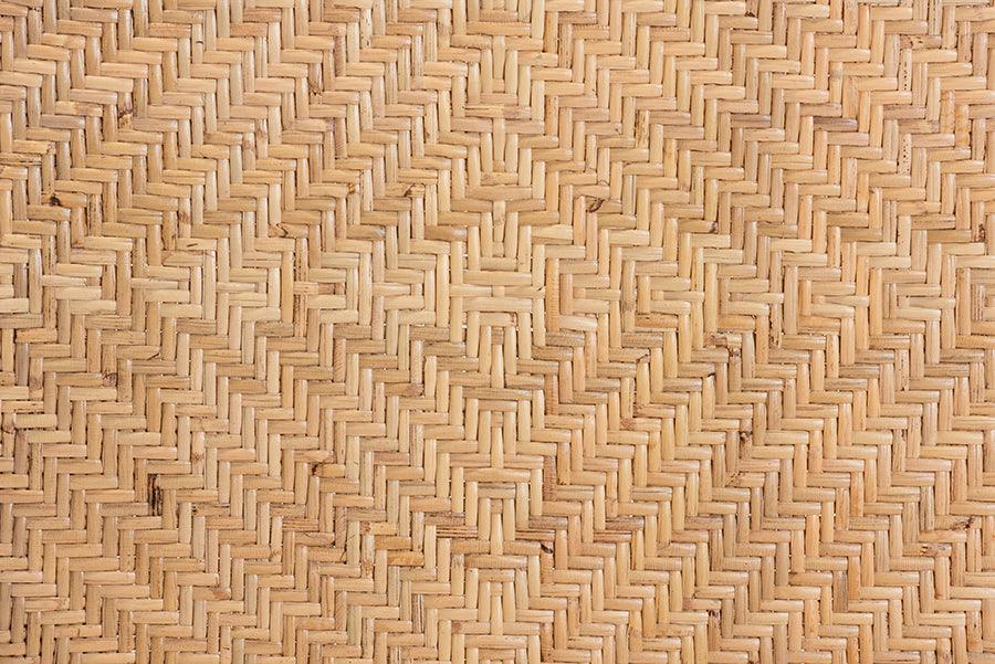 Adrena Modern Bohemian Natural Brown Rattan Counter Stool FredCo