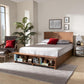 Alba Modern Transitional Ash Walnut Brown Finished Wood Queen Size 4-Drawer Platform Storage Bed FredCo
