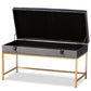 Aliana Glam and Luxe Grey Velvet Fabric Upholstered and Gold Finished Metal Large Storage Ottoman FredCo
