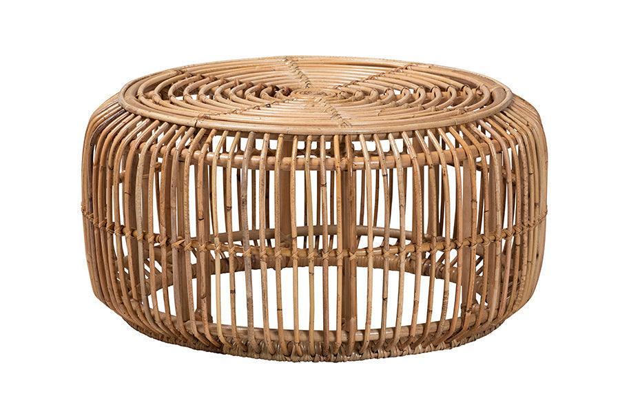 Aliane Modern Bohemian Natural Brown Antique Rattan 4-Piece Living Room Set FredCo