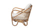 Aliane Modern Bohemian Natural Brown Antique Rattan Armchair FredCo