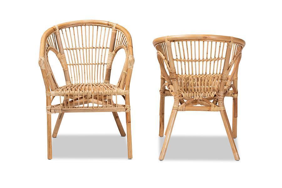 Alleta Modern Bohemian Natural Brown Rattan 2-Piece Dining Chair Set FredCo