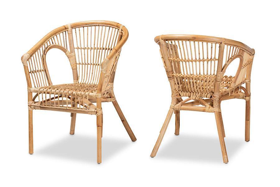 Alleta Modern Bohemian Natural Brown Rattan 2-Piece Dining Chair Set FredCo