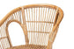 Alleta Modern Bohemian Natural Brown Rattan 2-Piece Dining Chair Set FredCo