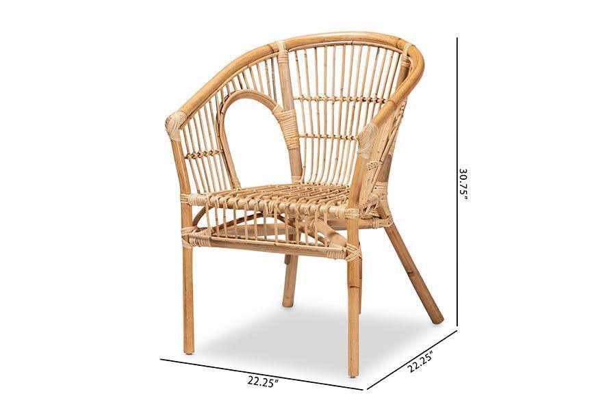 Alleta Modern Bohemian Natural Brown Rattan 2-Piece Dining Chair Set FredCo