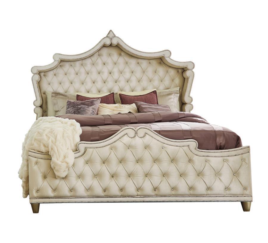 Antonella Upholstered Tufted Queen Bedroom Set Ivory and Camel Coaster, 5 Piece FredCo