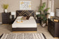 Arcelia Contemporary Glam and Luxe Two-Tone Dark Brown and Gold Finished Wood Queen Size 5-Piece Bedroom Set FredCo