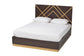 Arcelia Contemporary Glam and Luxe Two-Tone Dark Brown and Gold Finished Wood Queen Size 5-Piece Bedroom Set FredCo
