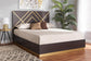 Arcelia Contemporary Glam and Luxe Two-Tone Dark Brown and Gold Finished Wood Queen Size Platform Bed FredCo