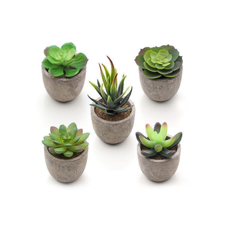 Artificial Potted Succulents FredCo