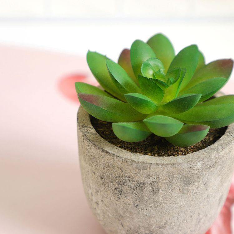 Artificial Potted Succulents FredCo