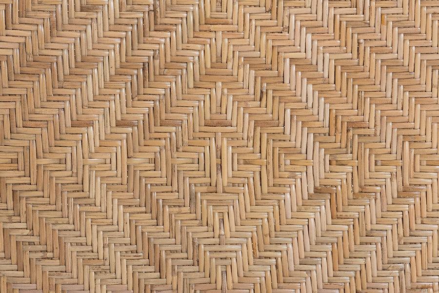 Ayana Mid-Century Modern Two-Tone Black and Natural Brown Rattan Dining Chair FredCo