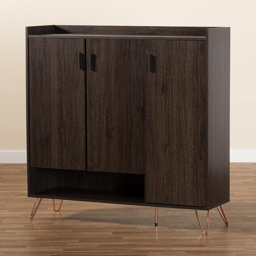 Baldor Modern and Contemporary Dark Brown Finished Wood 3-Door Shoe Cabinet FredCo
