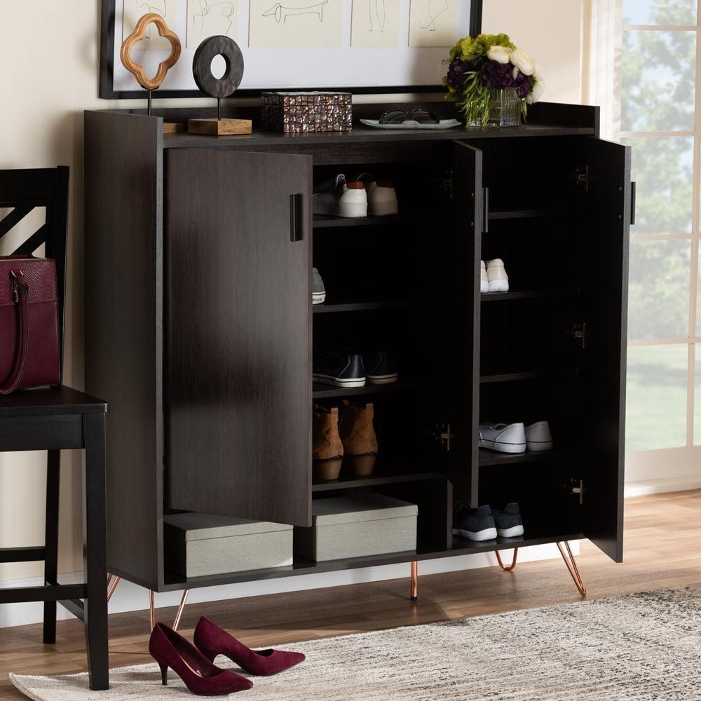 Baldor Modern and Contemporary Dark Brown Finished Wood 3-Door Shoe Cabinet FredCo