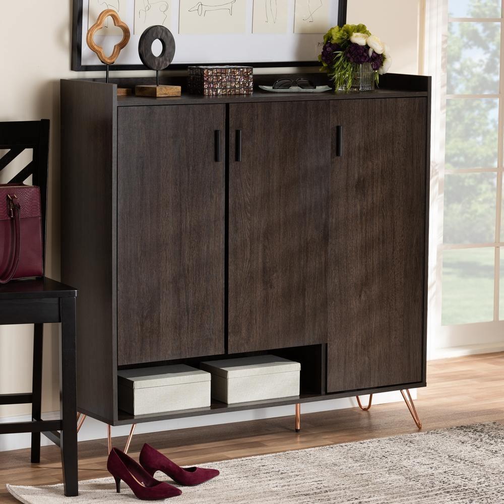 Baldor Modern and Contemporary Dark Brown Finished Wood 3-Door Shoe Cabinet FredCo