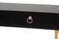 Beagan Modern and Contemporary Black Finished Wood and Gold Metal 2-Drawer Console Table FredCo