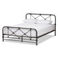 Beatrice Modern And Contemporary Stippled Black Finished Metal Queen Size Platform Bed FredCo