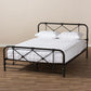 Beatrice Modern And Contemporary Stippled Black Finished Metal Queen Size Platform Bed FredCo