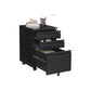 Black Mobile File Cabinet with Lock FredCo
