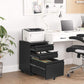 Black Mobile File Cabinet with Lock FredCo