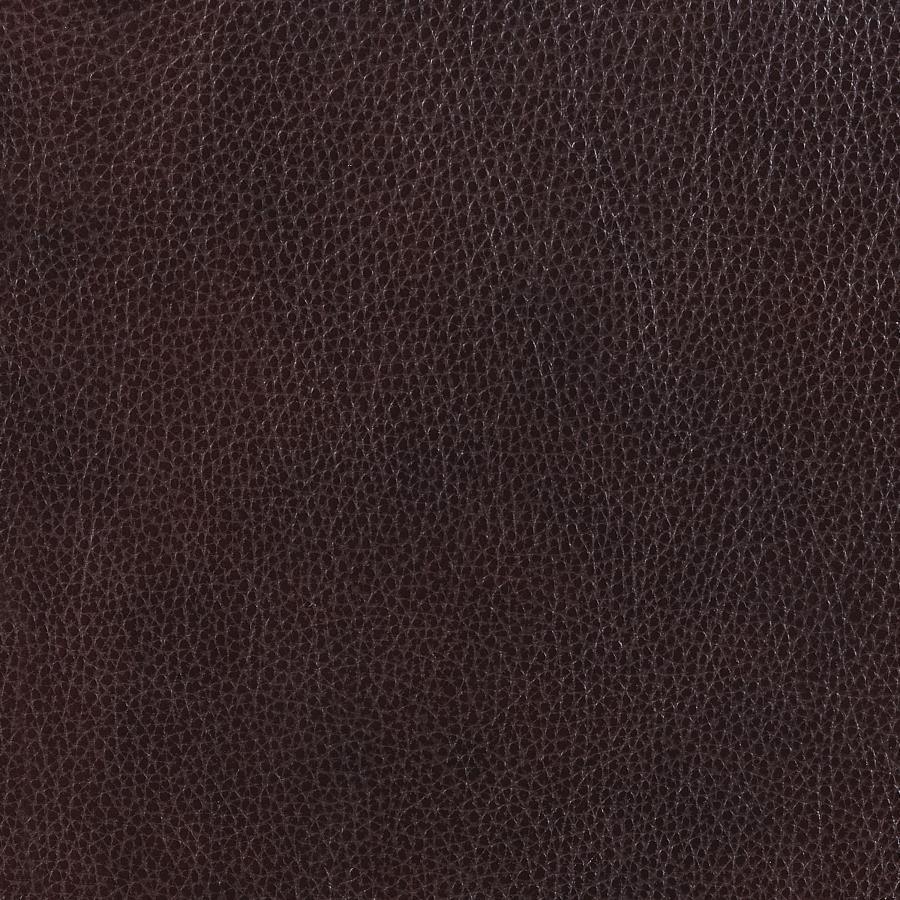 Boardmead 2-piece Track Arms Living Room Set Dark Brown 506801-S2 Coaster FredCo
