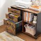 Brown File Cabinet with Storage Compartment FredCo