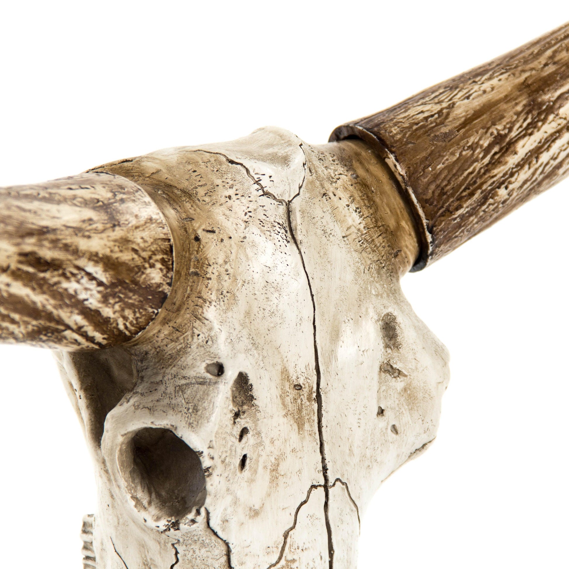 Bull Skull w/ Base SHI010 FredCo