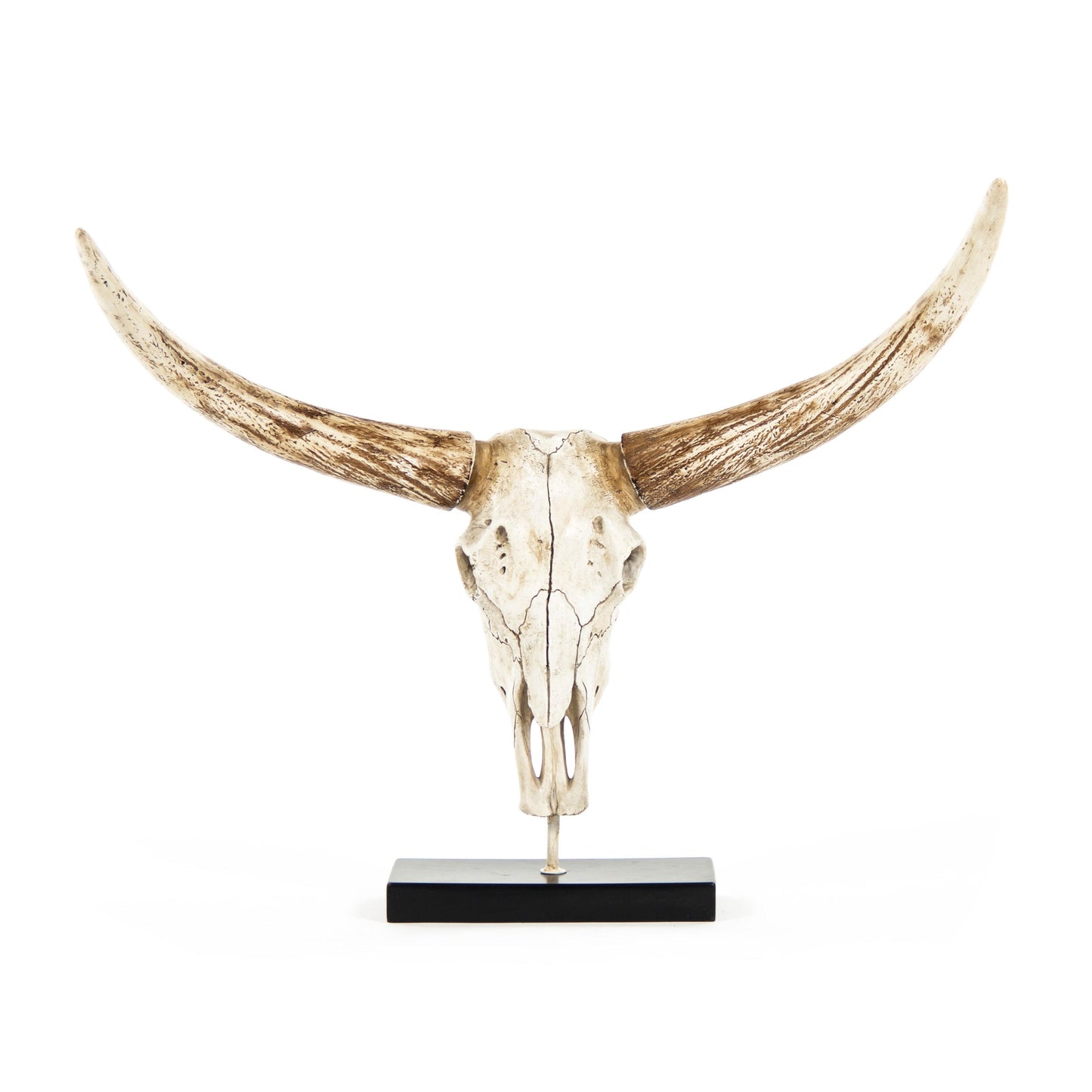 Bull Skull w/ Base SHI010 FredCo