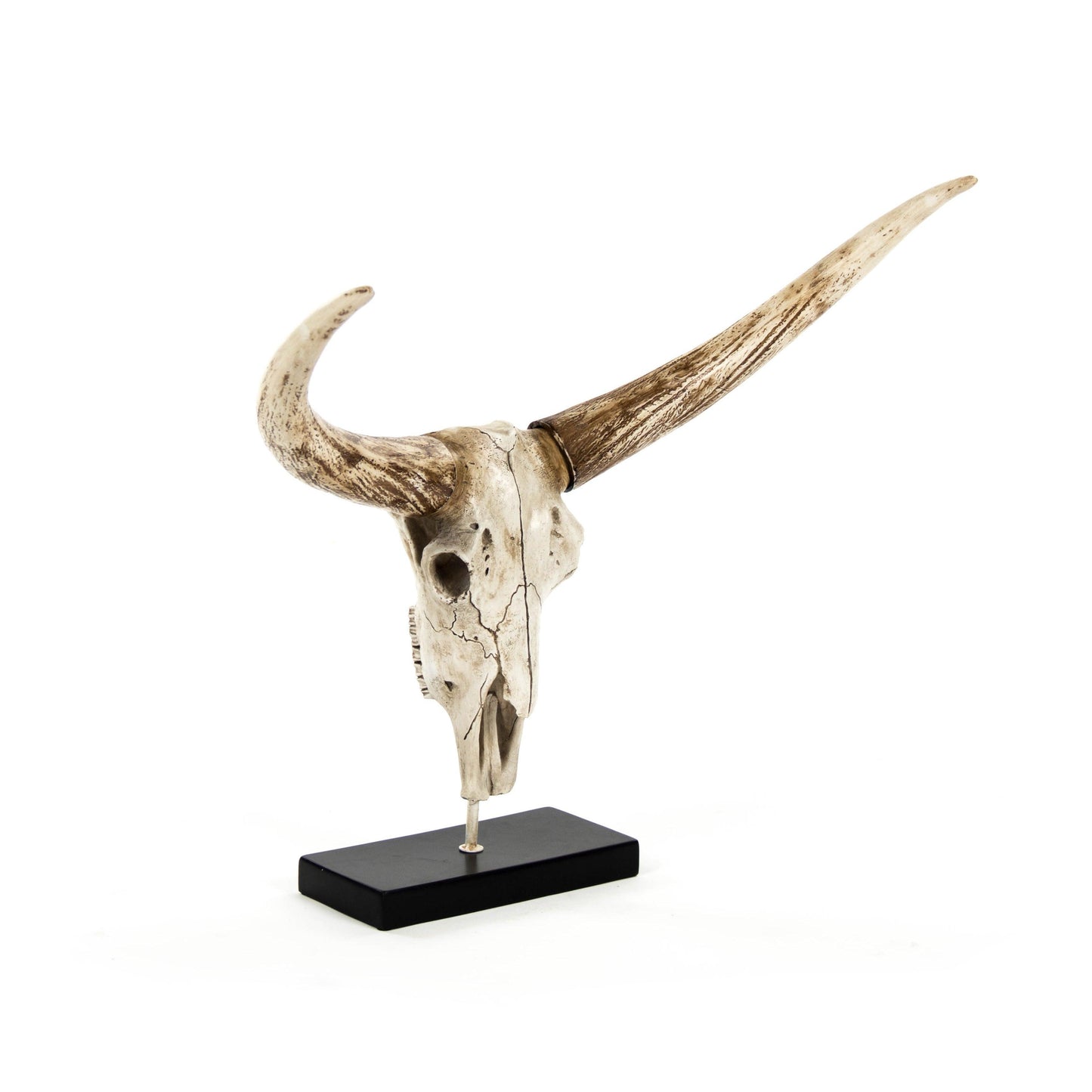 Bull Skull w/ Base SHI010 FredCo