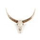 Bull Skull Wall Decor SHI003 FredCo