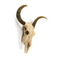 Bull Skull Wall Decor SHI032 FredCo