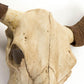 Bull Skull Wall Decor SHI032 FredCo