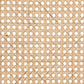 Cambree Mid-Century Modern Brown Woven Rattan and Black Wood 2-Piece Cane Dining Chair Set FredCo