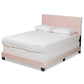 Caprice Modern and Contemporary Glam Light Pink Velvet Fabric Upholstered Queen Size Panel Bed FredCo