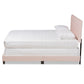 Caprice Modern and Contemporary Glam Light Pink Velvet Fabric Upholstered Queen Size Panel Bed FredCo